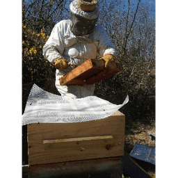 les ruchers de faradia #8