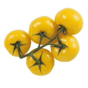tomate cerise  jaune