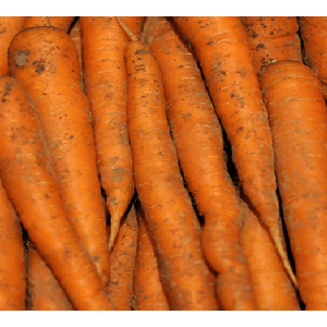 carottes vrac