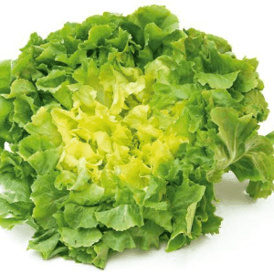 salade chicorée scarole