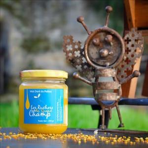 Miel doré du Poitou (Tournesol) pâteux, doux, à tartiner 250 g