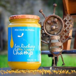 Miel doré du Poitou tournesol doux pateux à tartiner 1 kg
