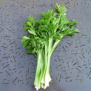 Celeri-Branche