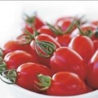 tomate cerise rouge delicassi