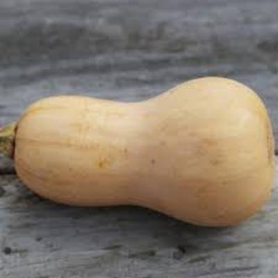 Courges butternut