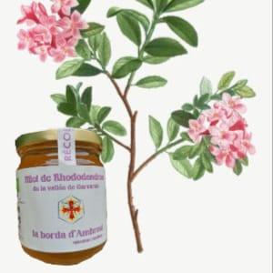 miel bio de rhododendron de la vallée de Gavarnie