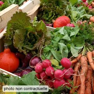 Panier de légumes et fruits