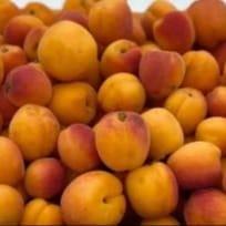 abricots confitures  par 2,5kg