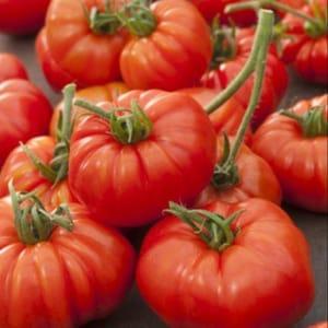 Caisse tomates MArmande 5Kg