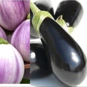 aubergines melangées noires et violette