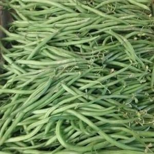 HARICOTS VERTS FINS