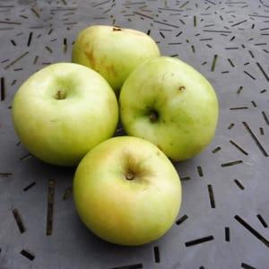 Pomme transparente blanche