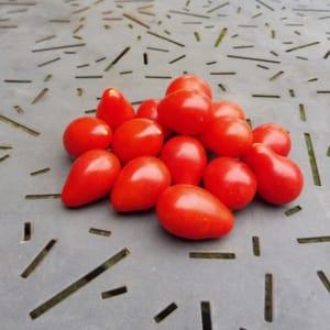 Plant Tomate Poire rouge