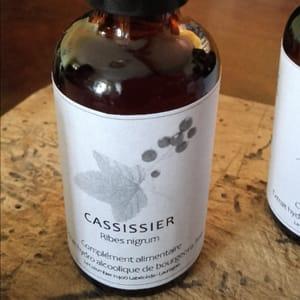 Extrait de bourgeons de Cassissier (Cassis) Ribes nigrum 50 ml