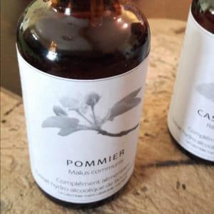 Extraits de bourgeons de Pommier sauvage  Malus communis 50 ml