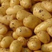Pommes de terre Nicola