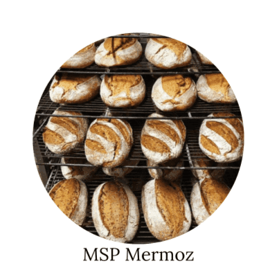 Logo de MSP Mermoz