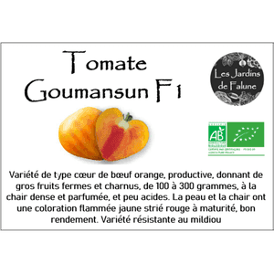 Plant de Tomate Gourmansun F1