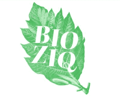 Logo de BioziQ - Relais de producteurs bio à Mirecourt