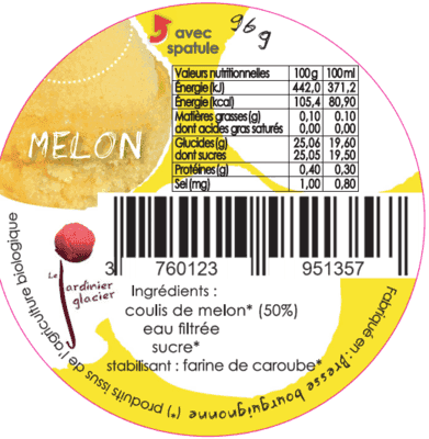 SORBET PLEIN FRUIT MELON LOT DE 2X140ML