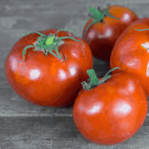 Plant de Tomate 'Merveille des Marchés'