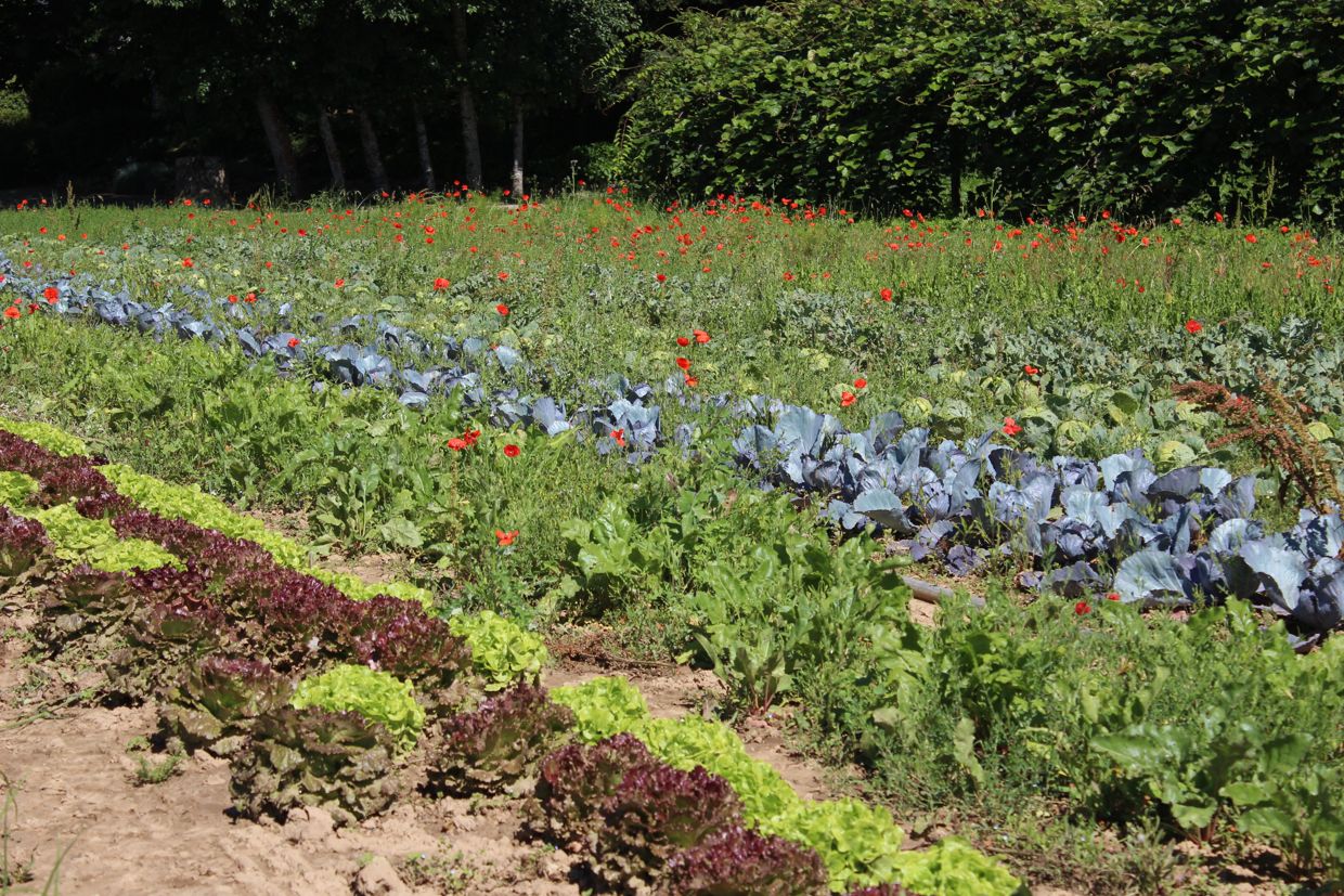Bannière de Ferme Des Rochettes