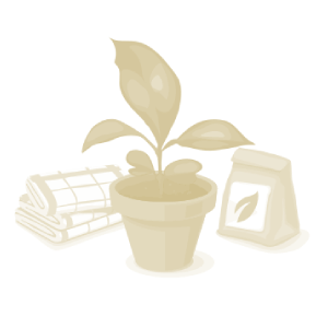 Alcoolature Valériane